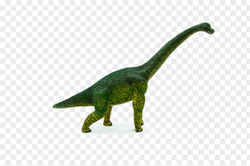 Dinosaur Brachiosaurus Prehistory Tyrannosaurus Stegosaurus PNG