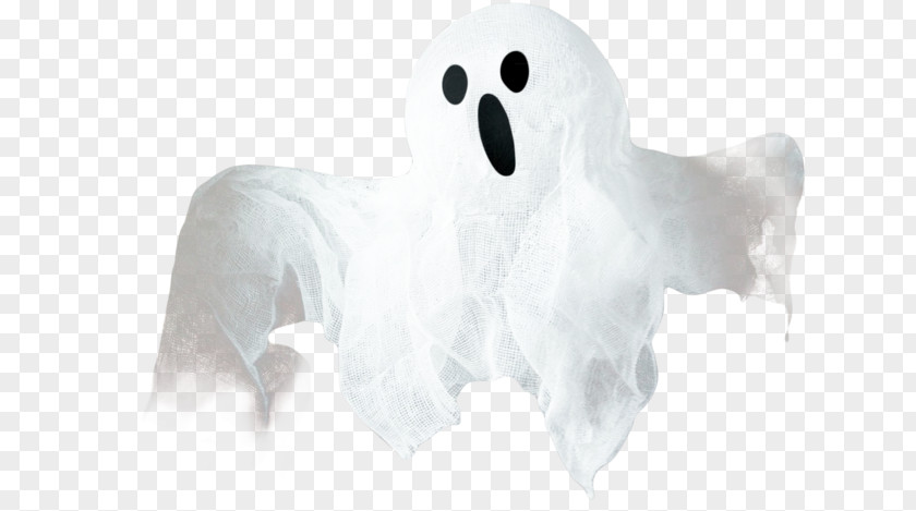 Ghost Image Halloween Clip Art PNG