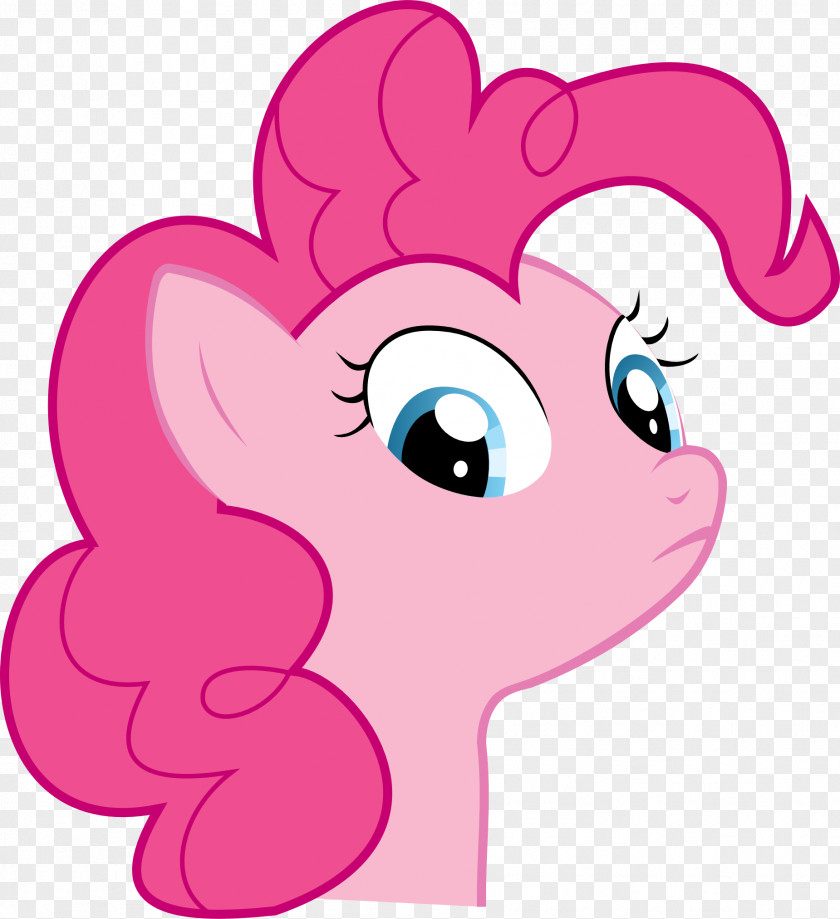 Horse Snout Pony Anger PNG