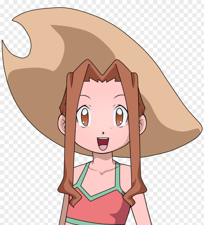 Mimi Tachikawa Agumon Palmon Gomamon Digimon PNG