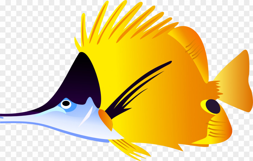 Picture Fish Download Tropical Carassius Auratus Clip Art PNG