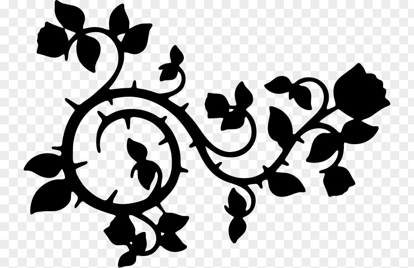 Vines Vector Vine Clip Art PNG