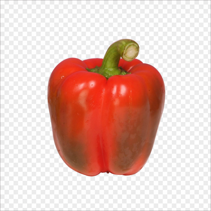 Bell Pepper Chili Red Vegetarian Cuisine PNG