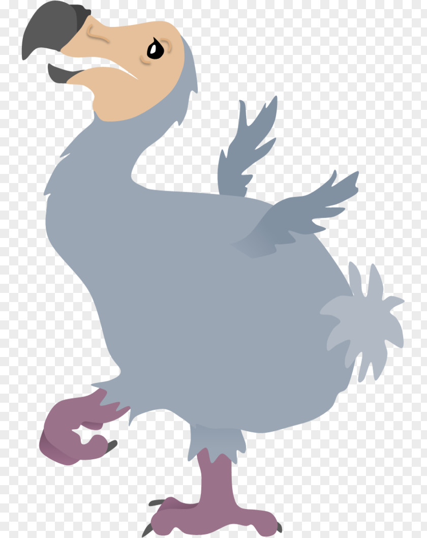 Bird Dodo Ice Age Image Clip Art PNG