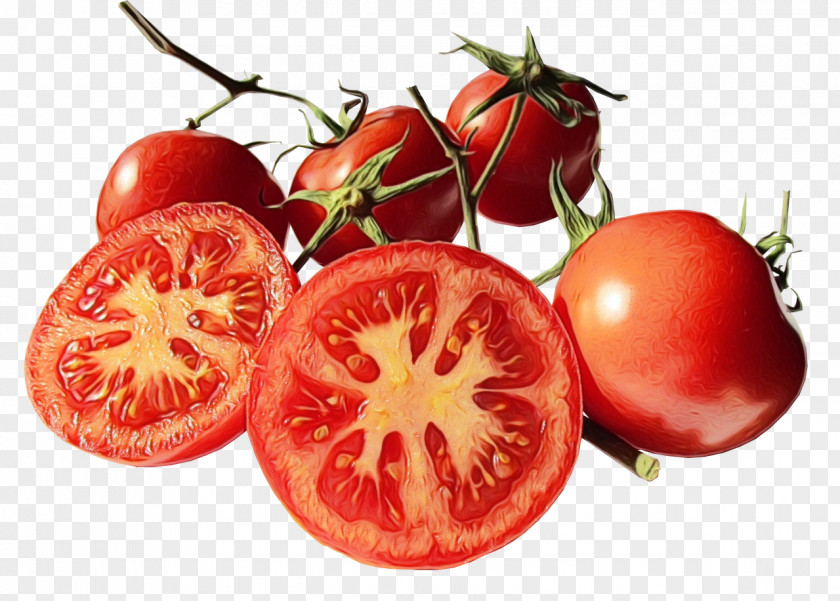 Cherry Tomatoes Plant Tomato PNG