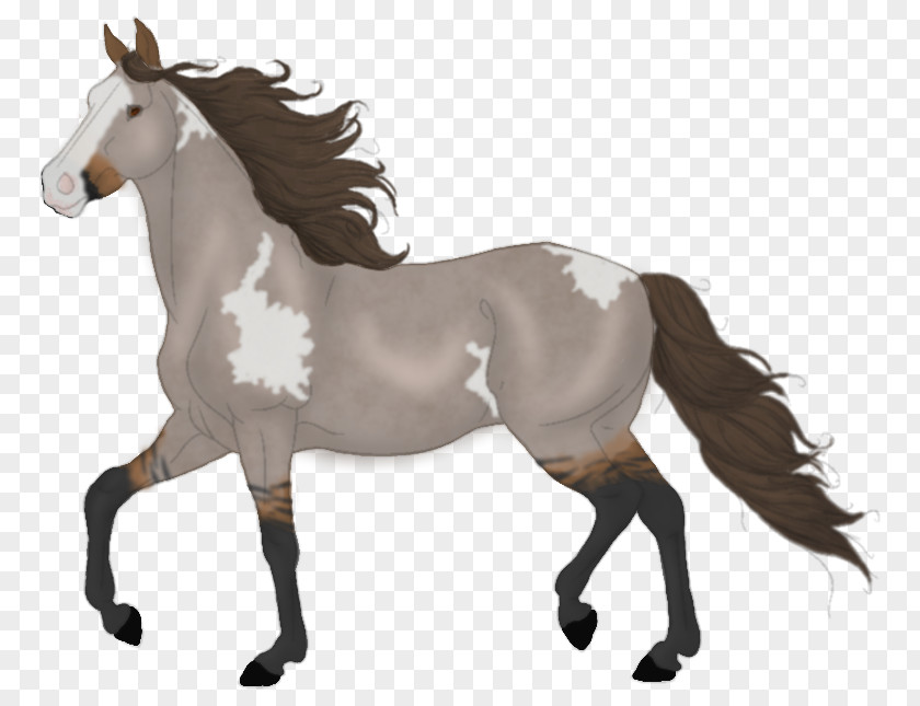 Red Splash Horse Mane Mustang Mare Stallion Rein PNG