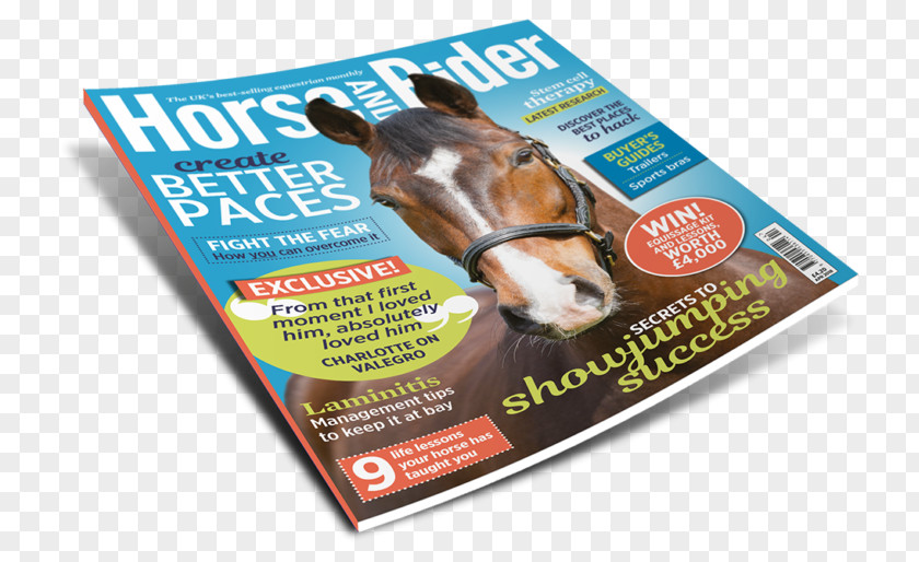 Best Seller Magazine Recipe Product Snout PNG