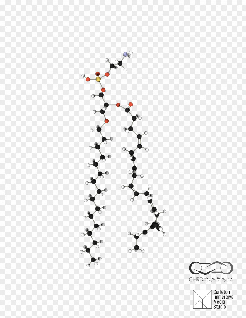 Cocaine Molecule Ball And Stick University Of Ottawa Design Art Bird Glycerophospholipid PNG