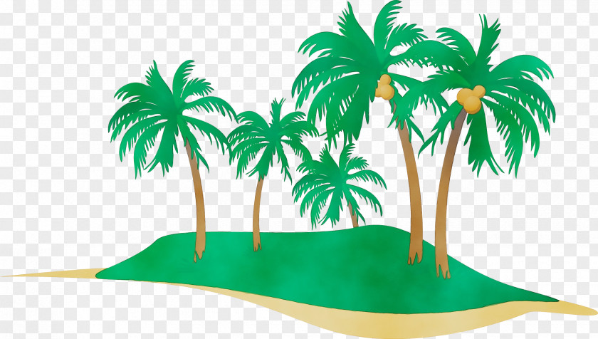 Coconut Woody Plant Palm Tree PNG