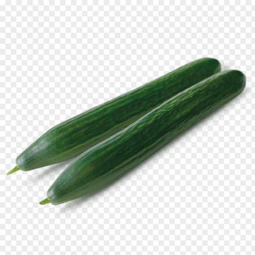 Cucumber Pickled Enza Zaden Acylia Formula 1 PNG