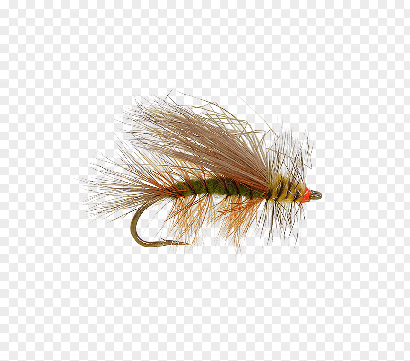 Fly Tying Artificial Hackles Holly Flies Insect Color PNG