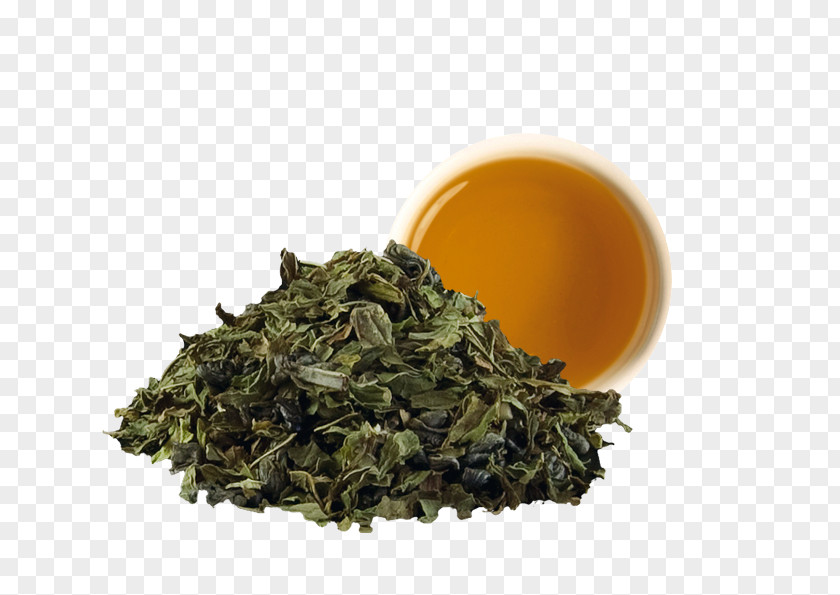 Gunpowder Green Tea Tieguanyin Nilgiri PNG