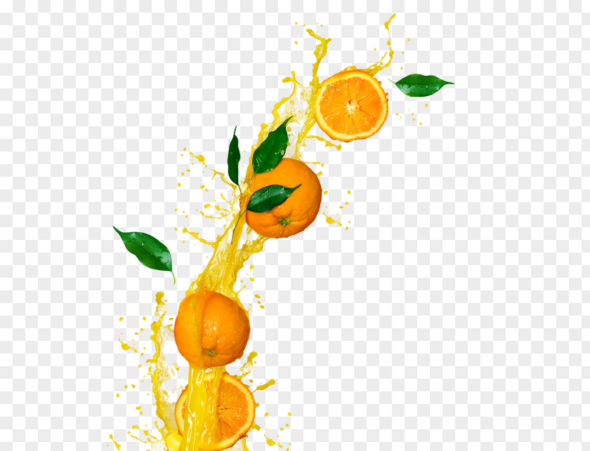 Juice Clementine Orange Fizzy Drinks Soft Drink PNG