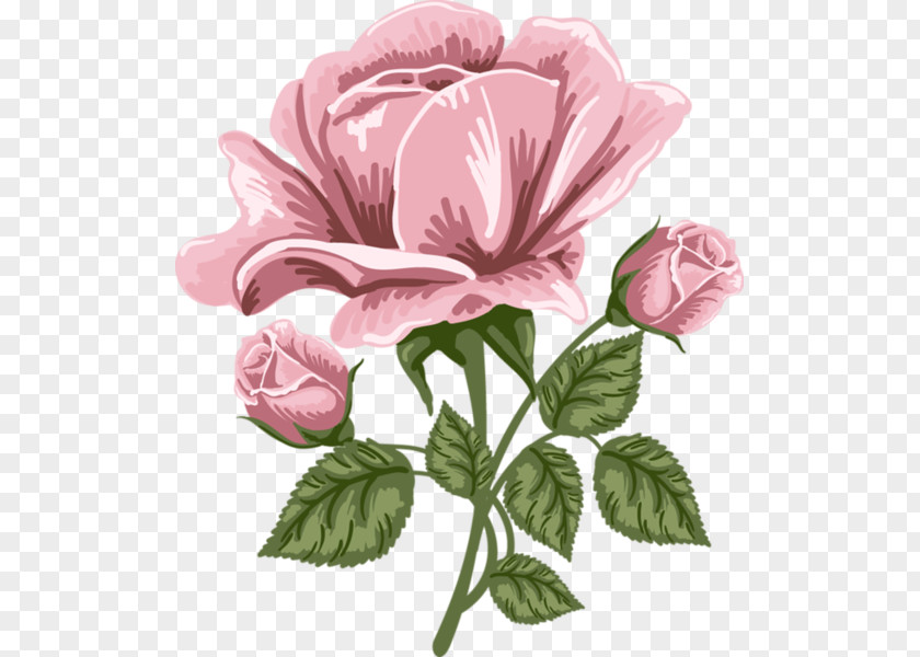 Rose Art Painting Clip PNG