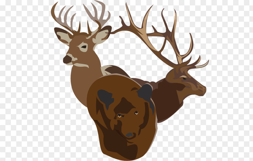 Deer Elk Reindeer Hunting Antler PNG