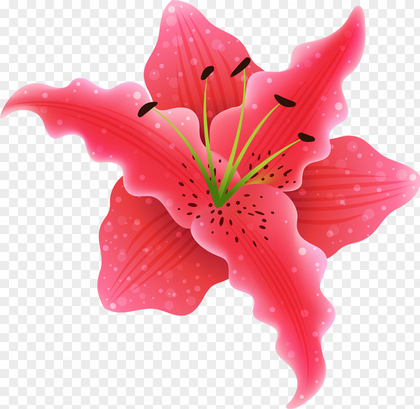 Flower Floral Design Clip Art PNG