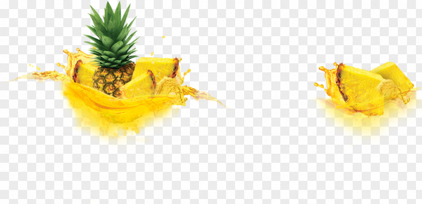 Pineapple Pineapples Desktop Wallpaper Computer PNG