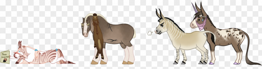 Screwed Up Mustang Rein Goat Donkey Antelope PNG