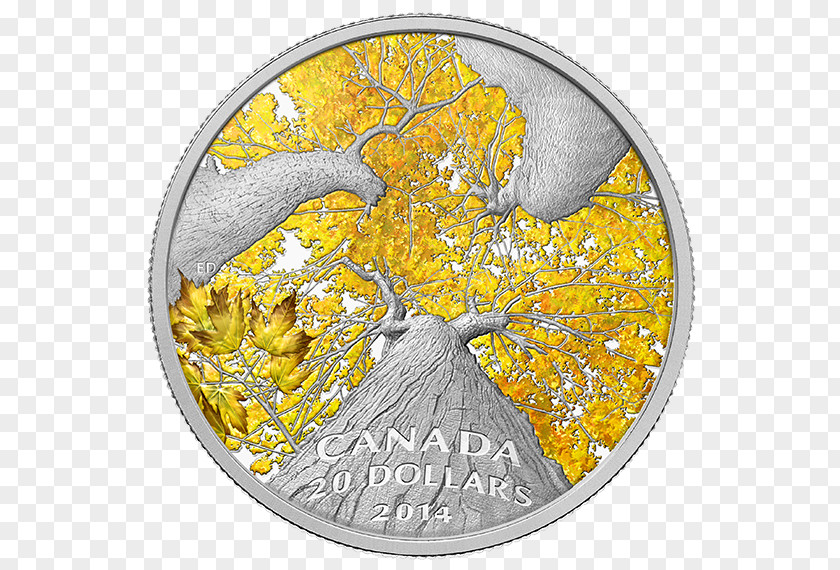 Autumn Price To Canada Canadian Silver Maple Leaf Coin PNG