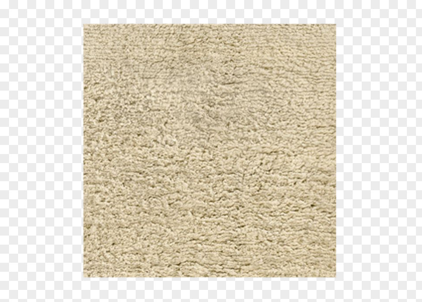 Carpet Family Child Apartment Birchbox PNG