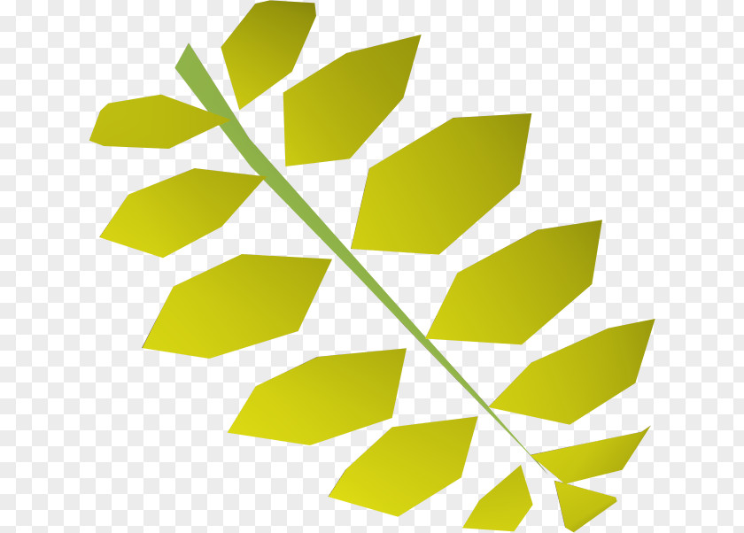 Curry Leaves Cliparts Leaf Green Old School RuneScape Indian Cuisine Tree PNG