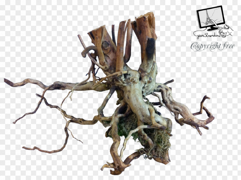 Tree Branch Driftwood DeviantArt PNG
