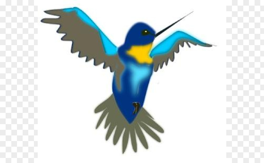 Free Hummingbird Clipart Drawing Cartoon Clip Art PNG