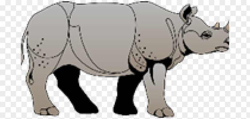 Horse Cattle Rhinoceros Pig Bear PNG