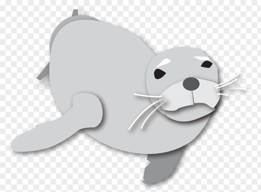 Monk Seal Whiskers Canidae Bear Clip Art PNG
