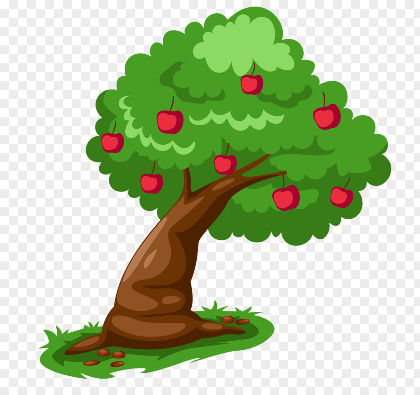 Tree PNG