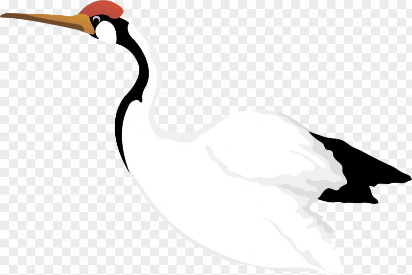 White Crane Red-crowned Cygnini Clip Art PNG