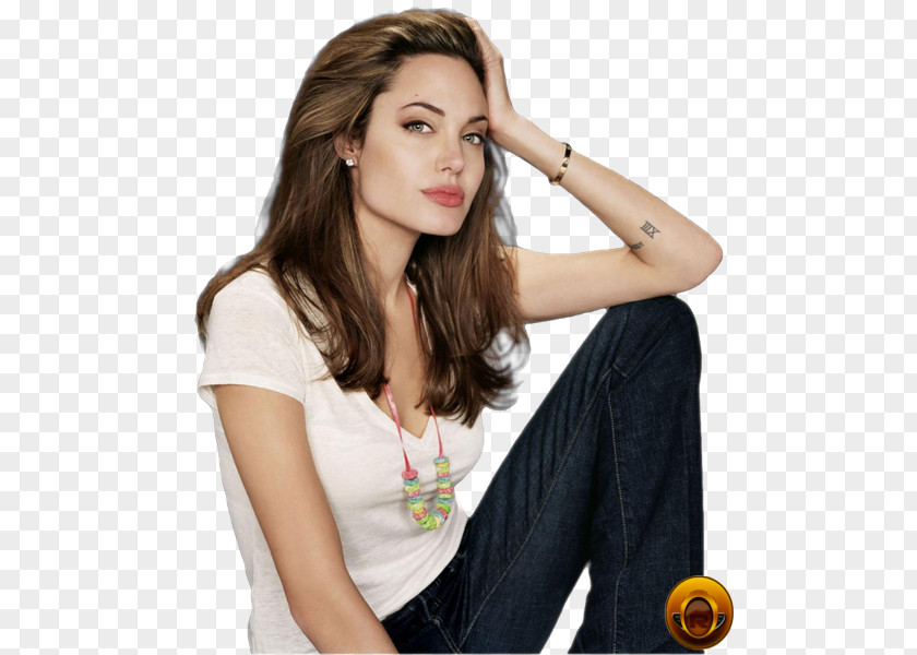 Angelina Jolie Lara Croft: Tomb Raider PNG