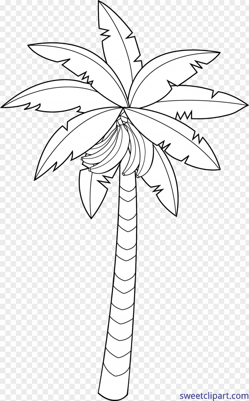 Banana Coloring Book Clip Art Image Drawing PNG