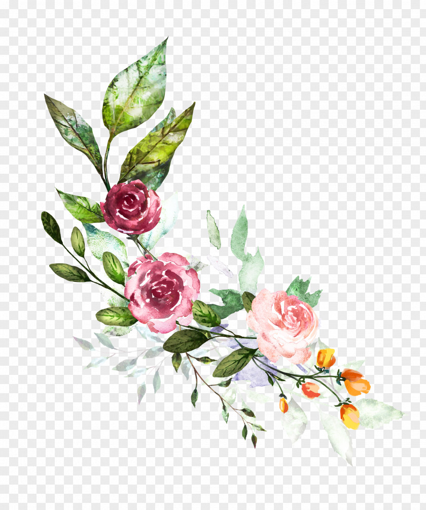 Flower Watercolor: Flowers Illustration Watercolor Painting Floral Design PNG