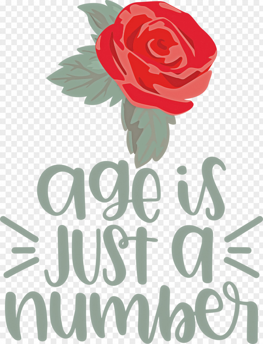 Birthday Age Is Just A Number PNG
