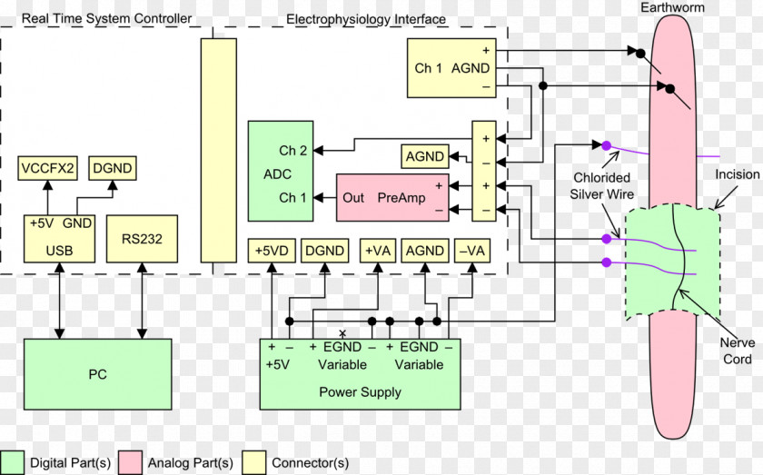 Design Floor Plan Line PNG