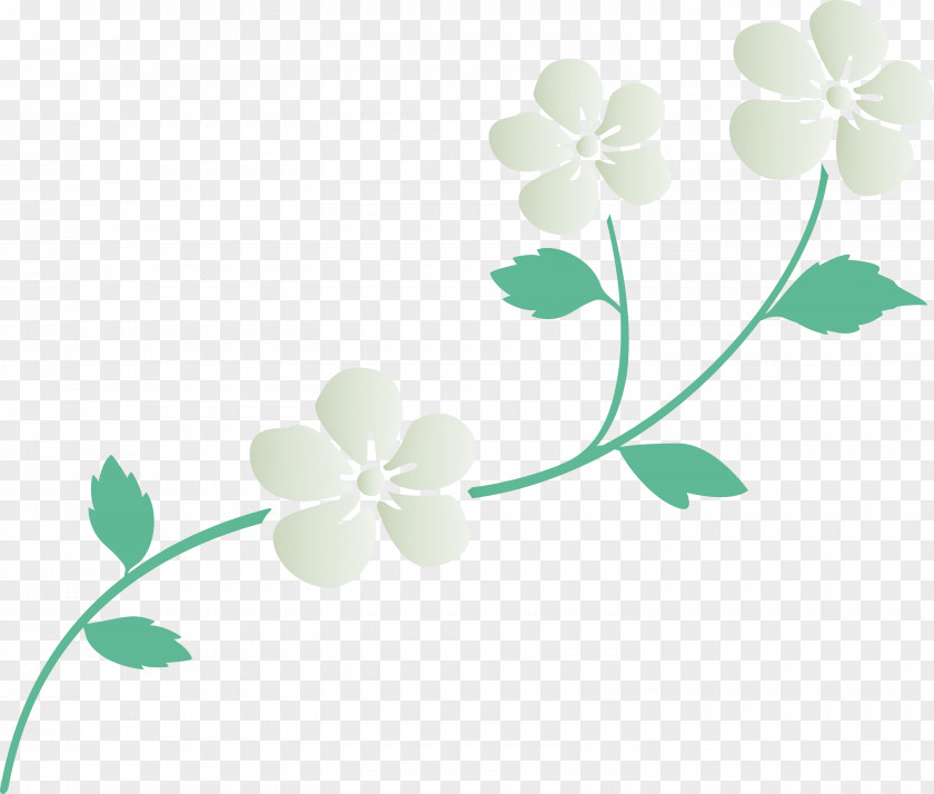 Flower Frame Decoration PNG