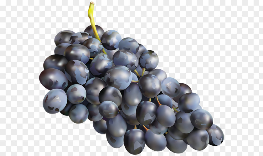 Grape Muscadine Zante Currant Muscat Must PNG