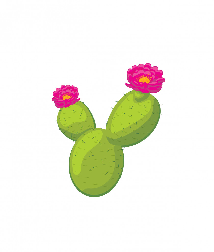 Cactus Cactaceae Flowering Plant Clip Art PNG