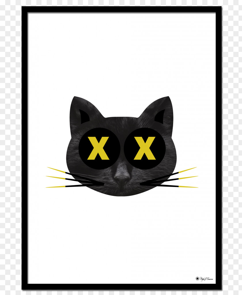 Cat Whiskers Snout Black M Font PNG