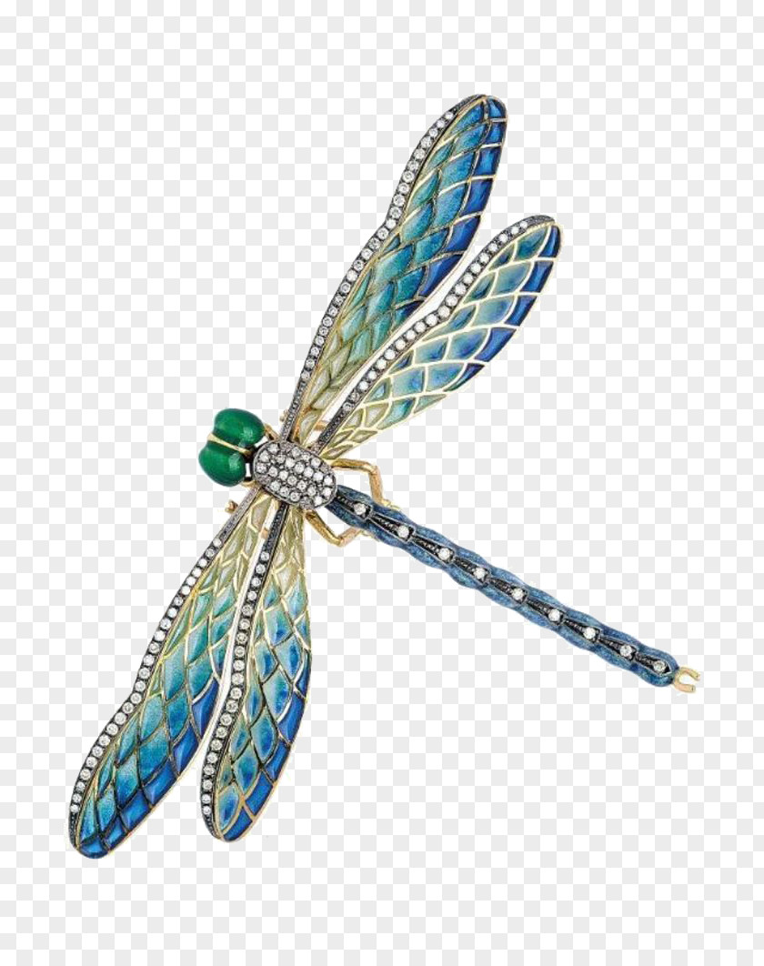 Crystal Dragonfly Vitreous Enamel Earring Brooch Jewellery Plique-xe0-jour PNG