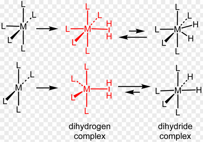 Dihydrogen Complex Ligand Hydrogenation PNG