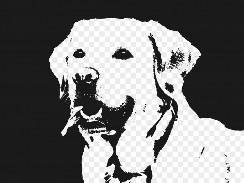 Dog Vector Labrador Retriever Illustration PNG