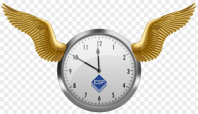 Flies Clock Stock Photography Royalty-free PNG