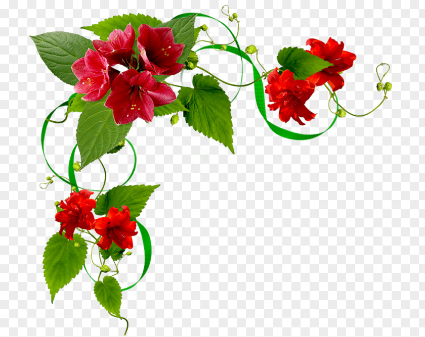 Flower Floral Design Clip Art PNG