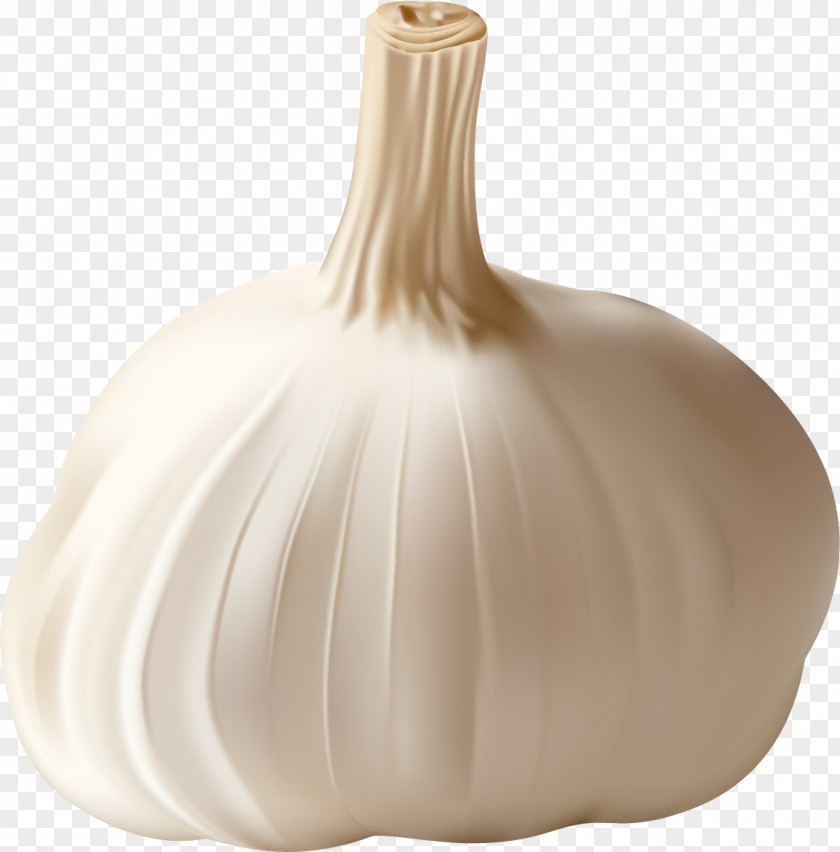 Garlic Food Allium Fistulosum Vegetable PNG