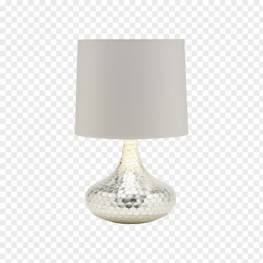 Tortoide Table Light Fixture Lamp Shades Lighting PNG
