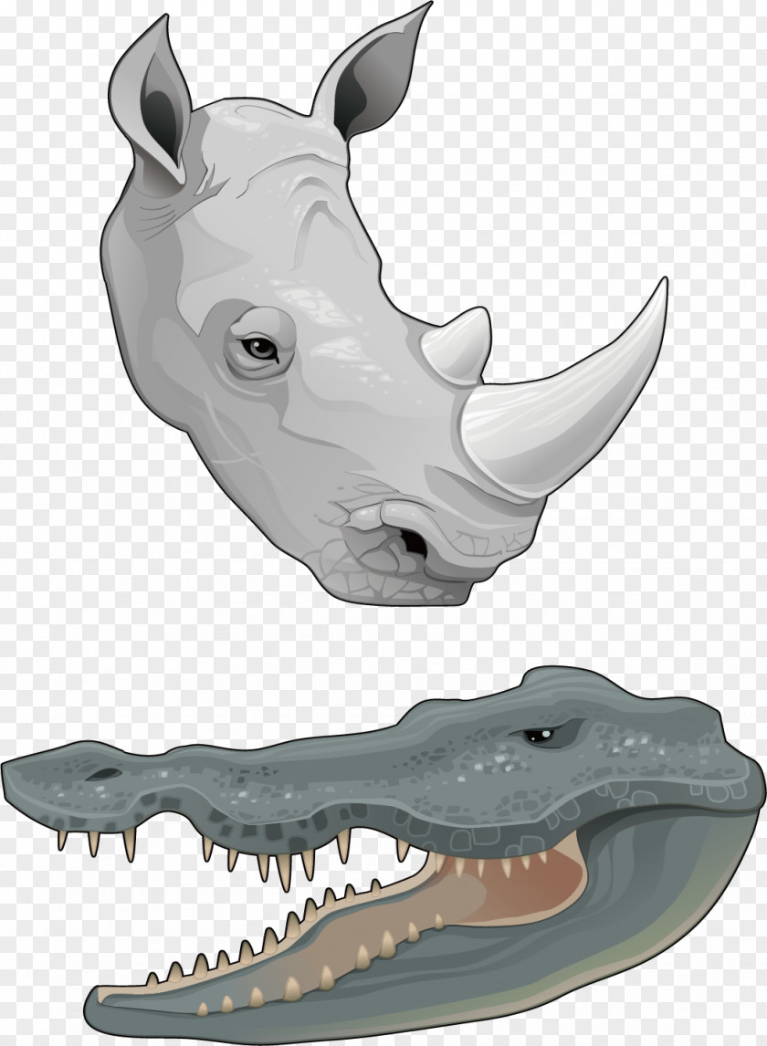Two Kinds Of Amphibians Rhinoceros Horn Euclidean Vector Animal PNG