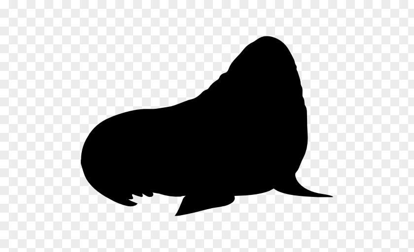 Walrus Silhouette Animal PNG