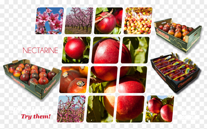 Apple Vegetarian Cuisine Nectarine Food Cosanse PNG